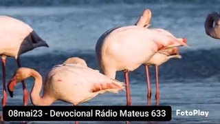08mai23 - Devocional Rádio Mateus 633