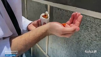 تطييب الكعبة المشرفة والحجر الأسود بأجود أنواع العود الفاخر