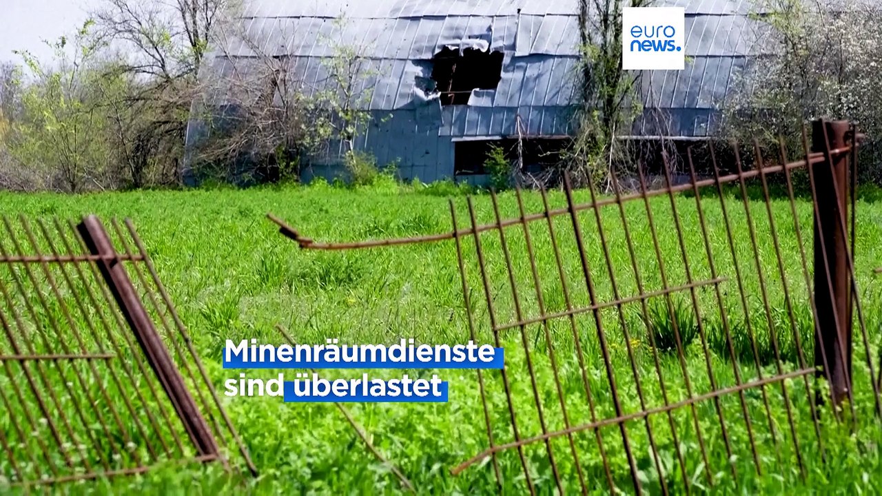 Bauern in der Ukraine kämpfen ums Überleben: Sie räumen selbst die Minen, um auszusäen