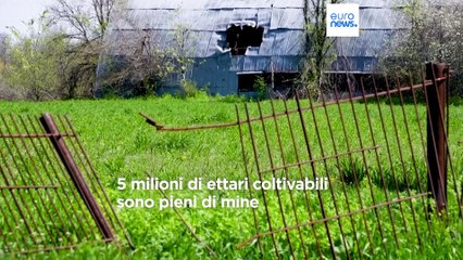 Ucraina, il settore agricolo è in ginocchio. L'appello all'Ue: "Aiutateci a sminare i campi"