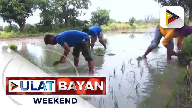 Libreng binhi, punla, ipamamahagi ng DA bilang bahagi ng selebrasyon ng Buwan ng Magsasaka at Mangingisda