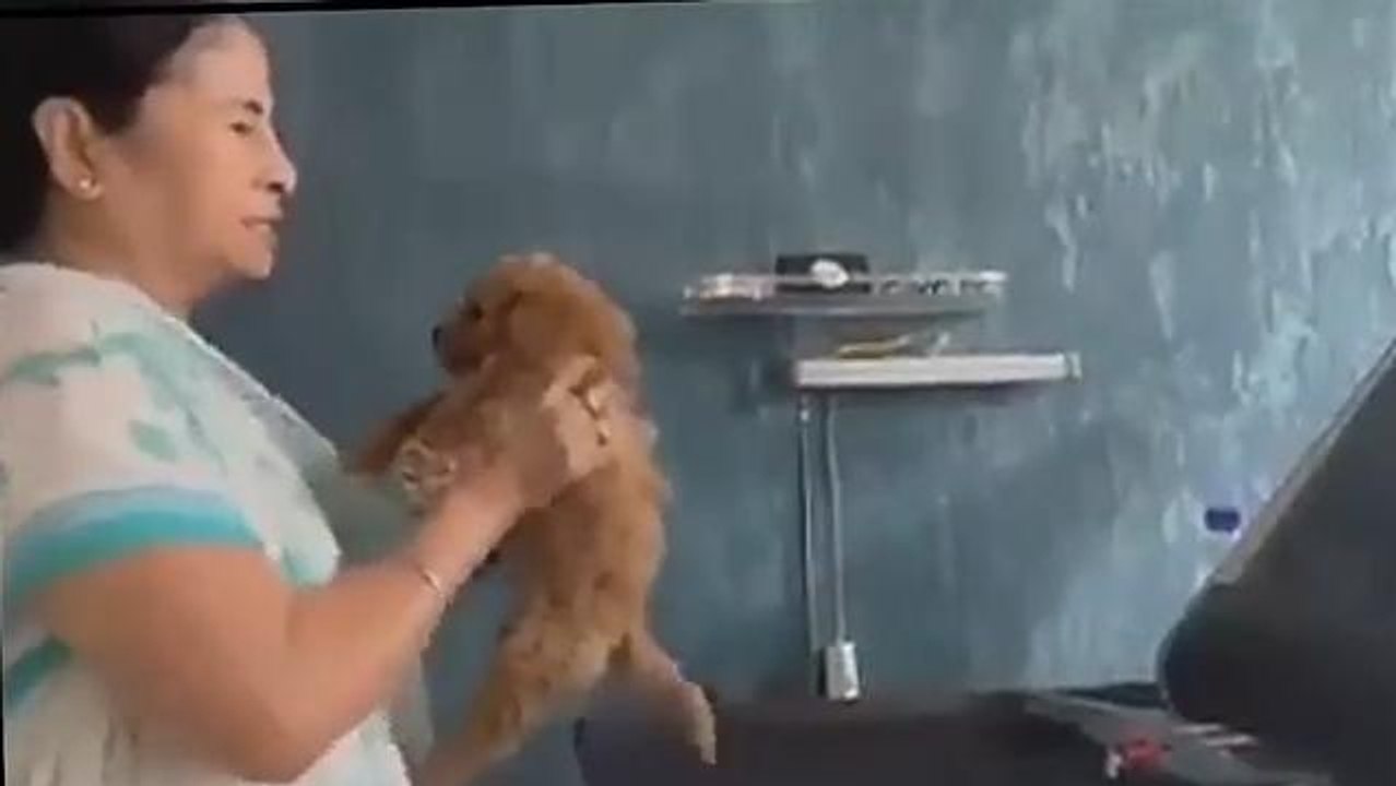 কলকাতা: পোষ্যকে নিয়ে শাড়ি পরে ঘাম ঝরাচ্ছেন মুখ্যমন্ত্রী!