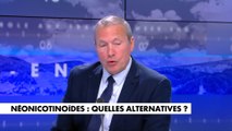 Jean-Michel Fauvergue : «Si on n'arrive pas à trouver comment s'en passer, on aura du sucre qui va venir d'ailleurs et qui sera plein de produits comme les néonicotinoïdes»