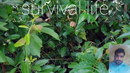 Survival Life The Most Secret Underground Tunnel Shelter