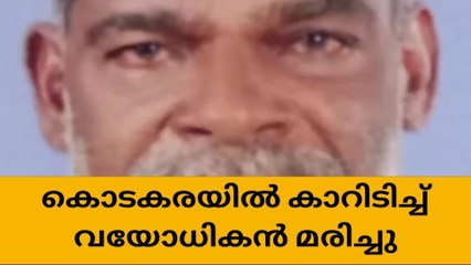 കൊടകരയിൽ കാറിടിച്ച് വയോധികൻ മരിച്ചു