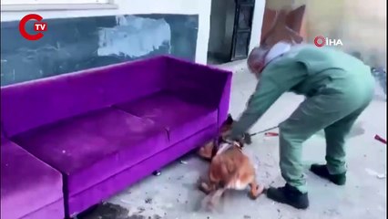 Tekirdağ’da uyuşturucu satıcılarına 'Nane' operasyonu: 10 tutuklama