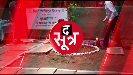 मेट्रो प्रोजेक्ट और विकास के नाम पर काटे जा रहे पेड़, किया गया अनोखा विरोध; देखें वीडियो