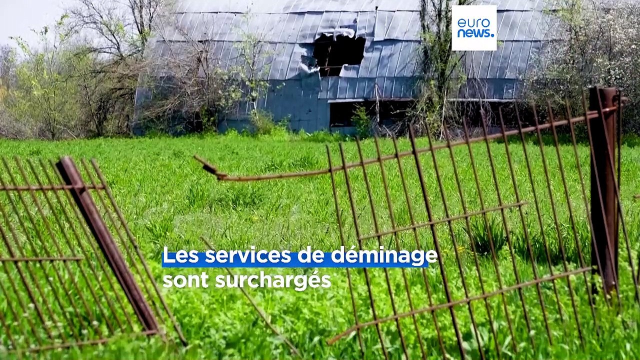 Terrains minés, risques de faillite : les agriculteurs ukrainiens en danger de mort