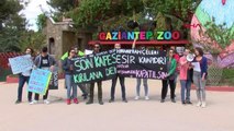 Gaziantep'te Hayvan Hapishaneleri Kapatılsın Platformu Hayvanat Bahçesi Önünde Toplandı