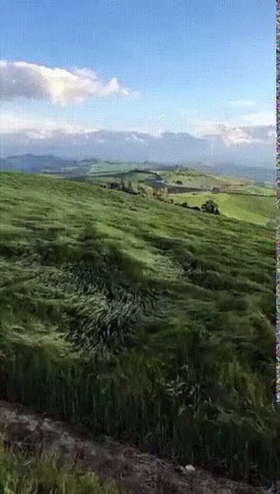 Hierba aire olas
