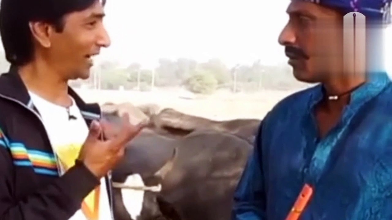 Hear ranga Punjabi muzaya funi video ( ansa Tik Ajk)