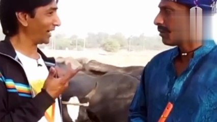 Hear ranga Punjabi muzaya funi video ( ansa Tik Ajk)