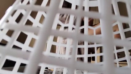 Tips for Using Your Brush Effectively 🖌️