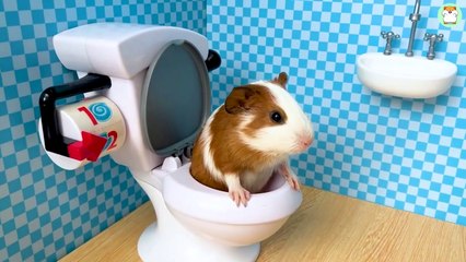 Hamster Min bathing in the toilet and go shopping Kinder Joy Eggs
