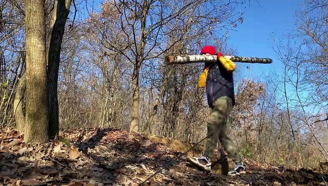 Building a Dugout in a Wild Forest alone. From start to finish