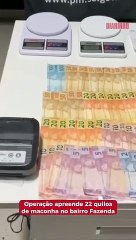 Operação apreende 22 quilos de maconha no bairro Fazenda