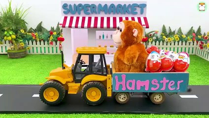 Hamster Min goes to buy candy in supermarket