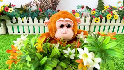 Smart hamster Min cleans up garbage on the street