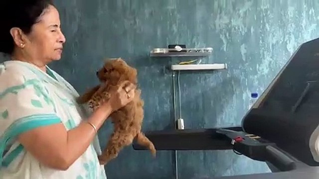 ट्रेड मिल पर तेज चाल के बीच सामने आया ममता बनर्जी का पशु प्रेम