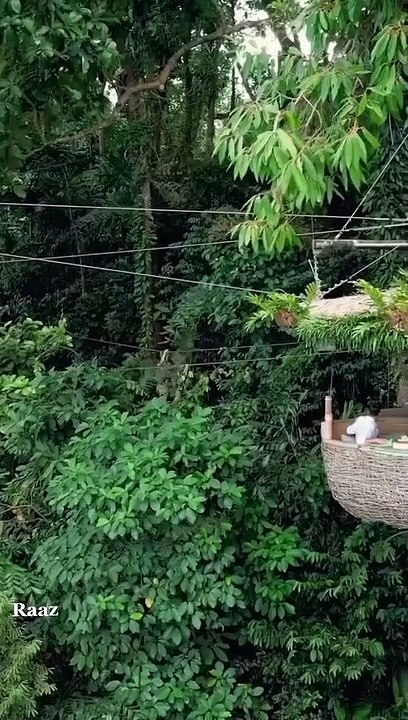 Tiktok_1683480015413