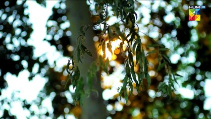 Sultaan Ke Saath Mazak Nahi Chalay Ga...! #zainbaig #mariawasti - Fareb - FLO Digital