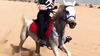 Saat Samundar I Horse Riding Girl #shortvideo
