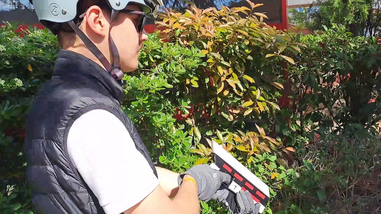 LDF Operation cleanup (experimental one shot short film)