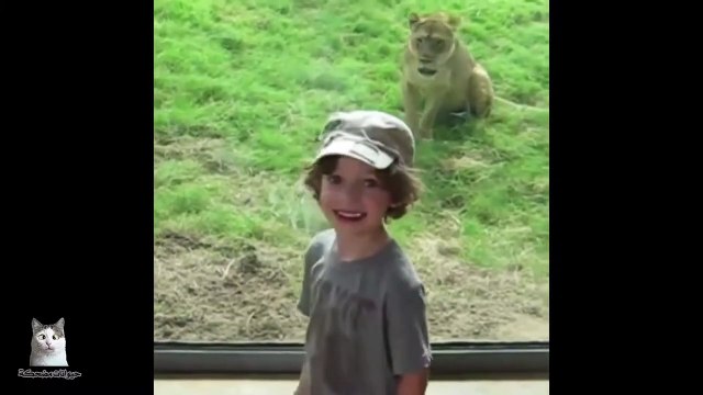 The best funny video about animals, laugh challenge, very funny animals