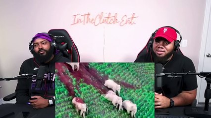 Astonishing instances of animal genius!