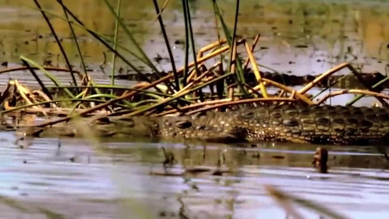 What Goes Around Comes Back Around