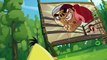 Angry Birds Angry Birds S02 E020 Brutal vs. Brutal