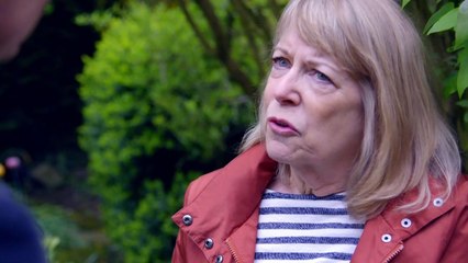 Horizon: Unlocking the Healing Power of Placebos 🧪