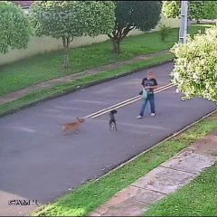 Polícia pede ajuda para identificar autor de roubo de veículo em Goioerê