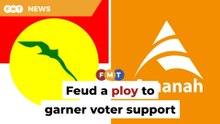 Amanah-Umno feud could be vote-winner, says analyst
