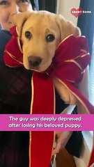 Girl Surprised Her Depressed Friend With Puppy || Heartsome