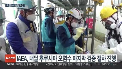 IAEA 검증과 별개로 후쿠시마 오염수 시찰…실효성은 얼마나