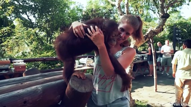 When hugs is the way animals showing love to you - Cutest Animals Video 2023