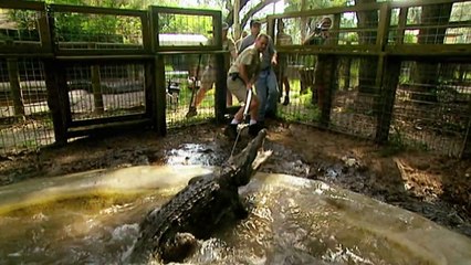 Extinct A Horizon Guide to Dinosaurs