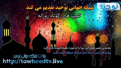 امام زمان موهوم - محمدبن نصیر نقش ابن سبا را در مورد عقیده غیبت بازی کرد