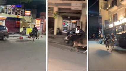 सांड की सवारी पड़ गई भारी, अब नौकरी से निकाल दिया गया