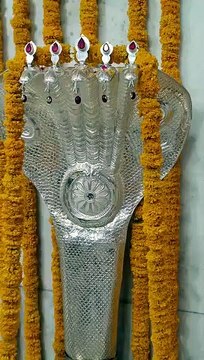 Presented Sheshnag weighing 7 kg in Mahakal temple