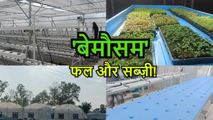 बिहार का पहला एरोपोनिक और हाइड्रोपोनिक यूनिट इस ज़िले में हो रहा तैयार, जानिए खासियत