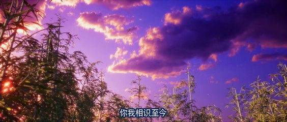 画江湖之不良人 第6季 第11话 | Drawing Jianghu of Bu Liang Ren Ⅵ Ep 11