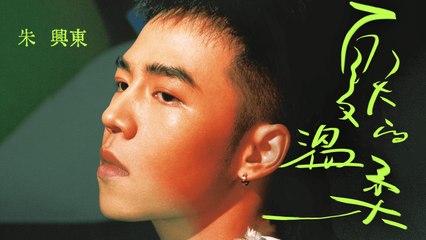 朱興東 Don Chu【夏天的溫柔】Official Lyric Video