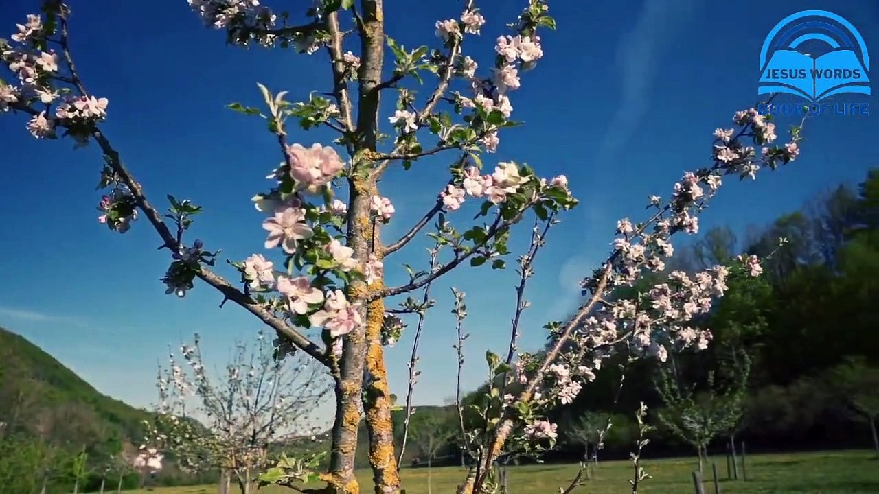 Yeshu Choo Mere Jeevan Ko Choo | Masihi Geet | Jesus Words