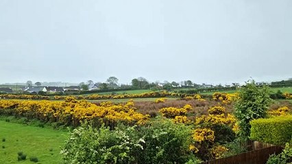 Thunder and lightning in Donegal