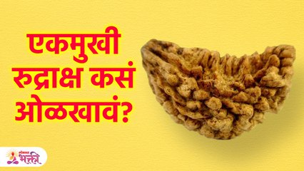 एकमुखी, खरं आणि खोटं रुद्राक्ष कसं ओळखावं जाणून घ्या नियम | How To Identify Ekmukhi Rudraksha | SG3