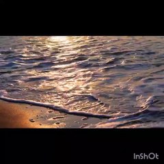 Surahfeel recitation by Qari Raad ul Kurdi