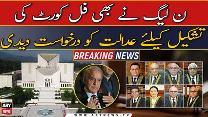 SC bill: PML-N seeks formation of full court
