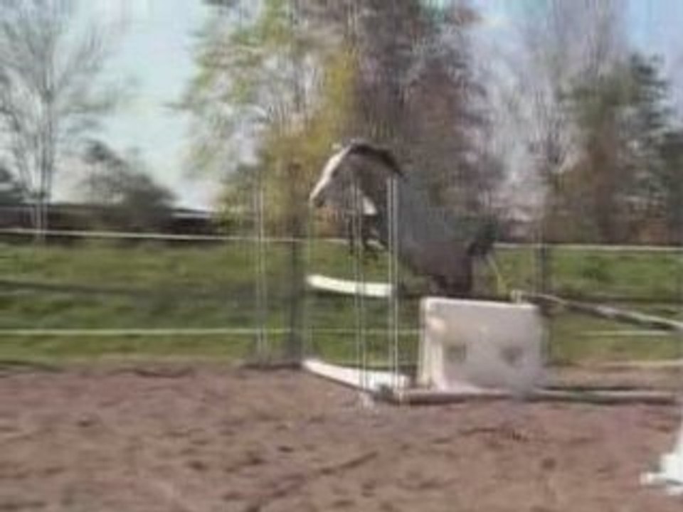 Montage obstacle 20 mars 2008